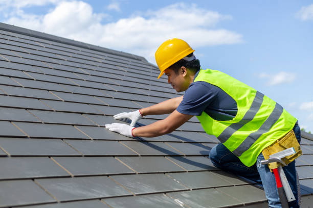 Roof Gutter Cleaning in Laguna Heights, TX