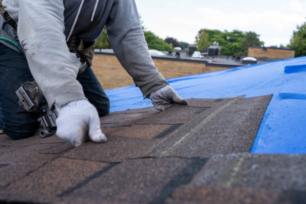 Best Flat Roof Repair Services  in Laguna Heights, TX