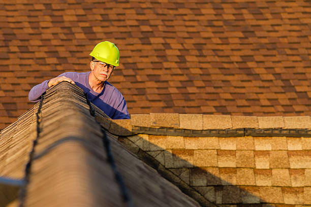 Best Roof Gutter Cleaning  in Laguna Heights, TX