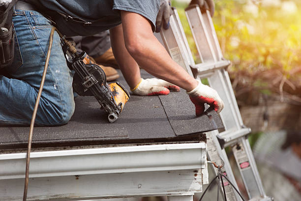 Best Metal Roofing Contractor  in Laguna Heights, TX