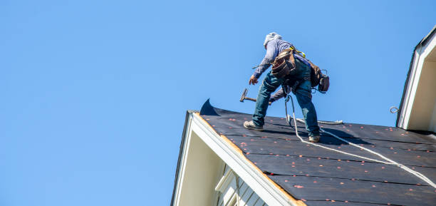 Best Best Roofing Contractors  in Laguna Heights, TX