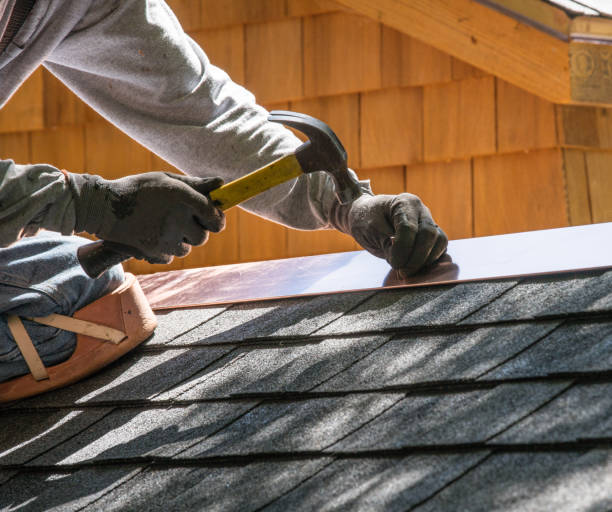 Best Local Roofing Companies  in Laguna Heights, TX